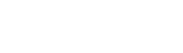 Flixza Global